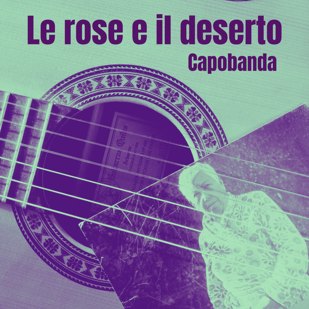 le rose e il deserto